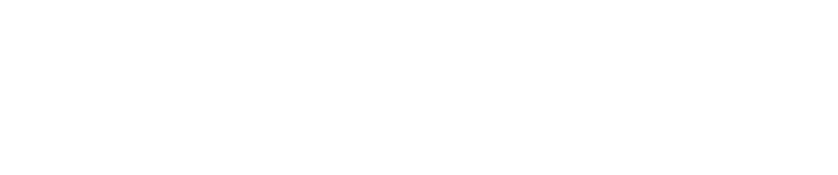 Learnix